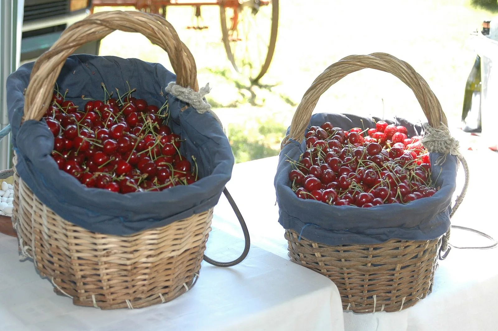 Due cesti di vimini foderati di stoffa blu, colmi di ciliegie rosse e lucide con il picciolo, appoggiati su un tavolo con tovaglia bianca all'aperto